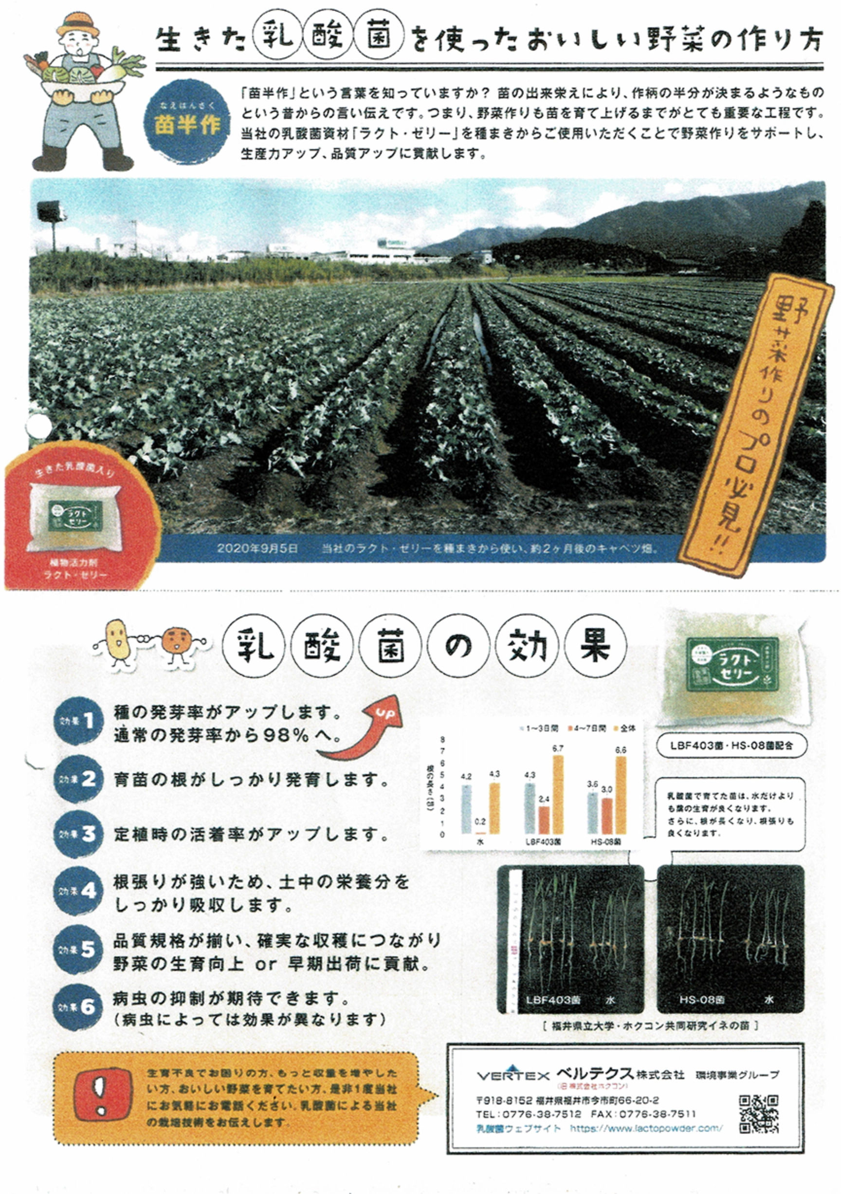 生きた乳酸菌を使ったおいしい野菜の作り方